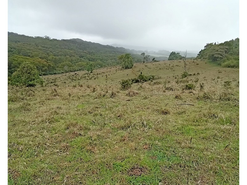 11551 Kennedy Hwy, Evelyn QLD 4888