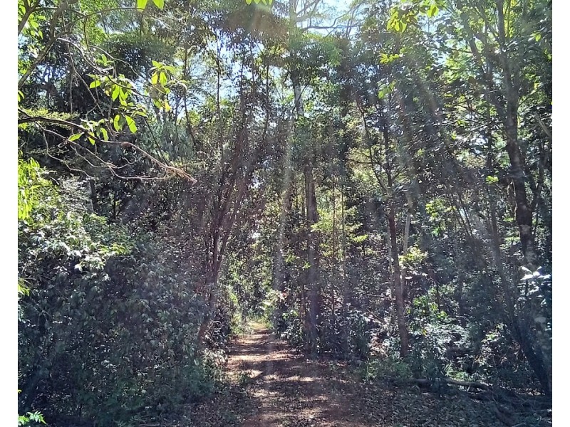 11551 Kennedy Hwy, Evelyn QLD 4888