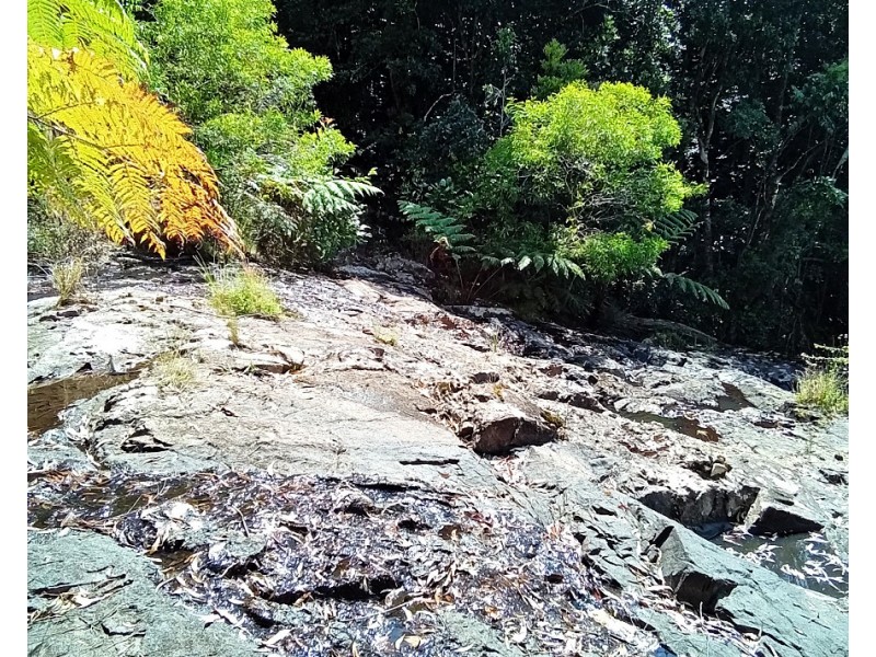 11551 Kennedy Hwy, Evelyn QLD 4888