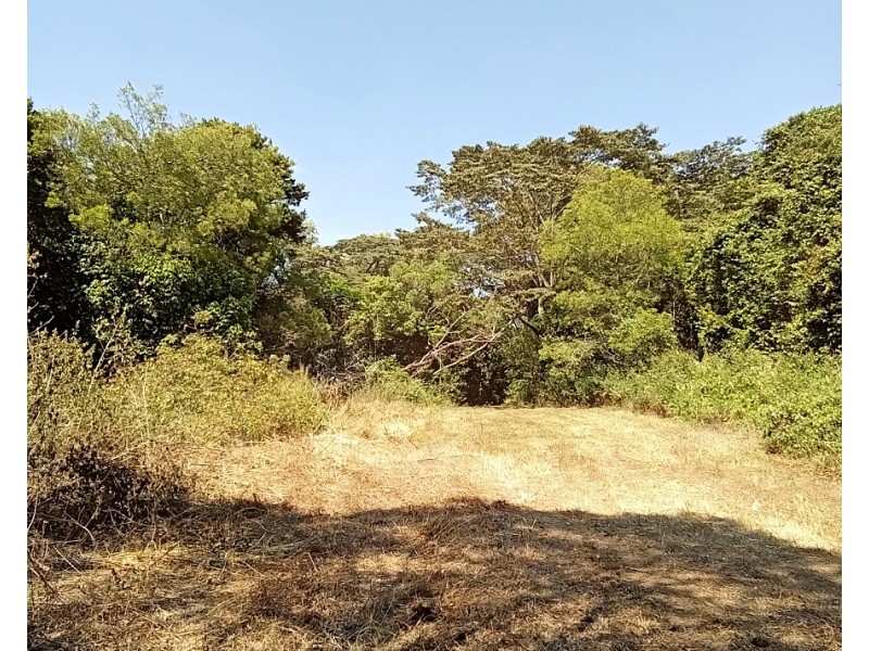 11551 Kennedy Hwy, Evelyn QLD 4888