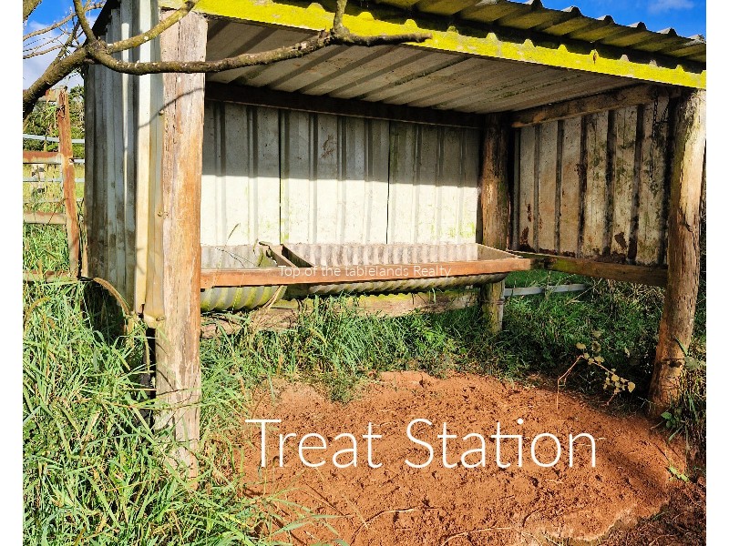 11551 Kennedy Hwy, Evelyn QLD 4888