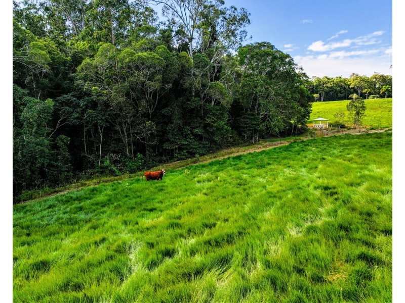 90 Stoney Creek Road, Speewah QLD 4881