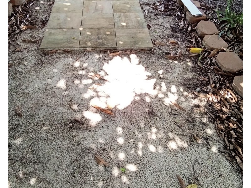 22 Kurrajong Cct, Millstream QLD 4888