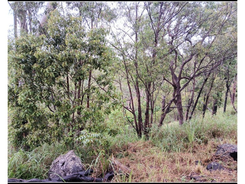 9 Park Lane, Millstream QLD 4888