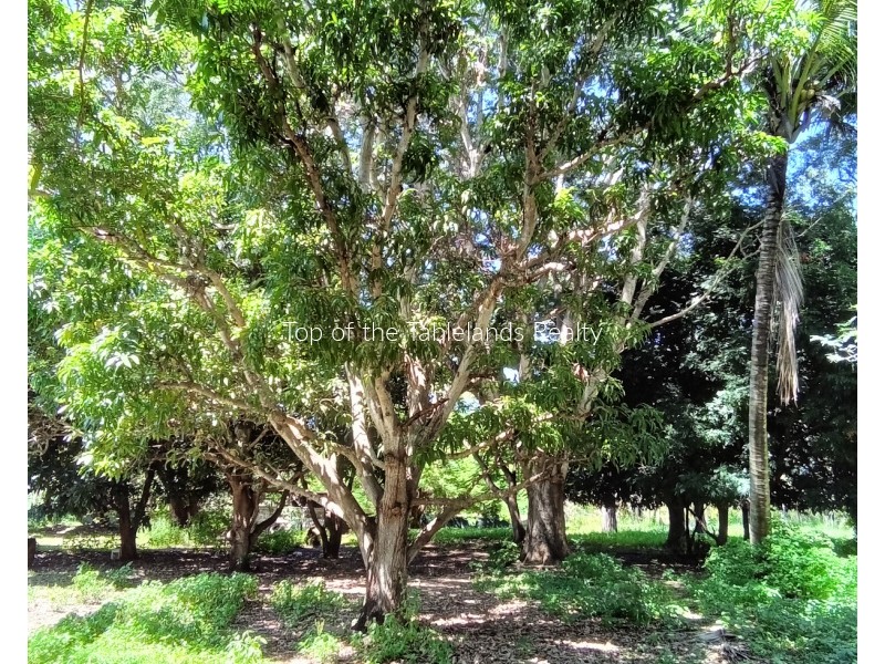 16 Dusty Lane, Innot Hot Springs QLD 4872