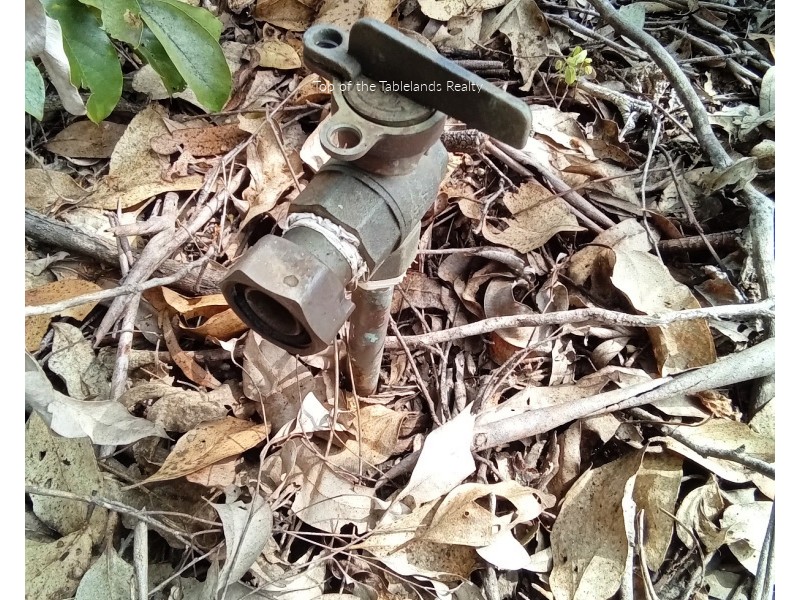 189 Millstream Pde, Millstream QLD 4888