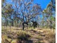 414 Silver Valley Rd, Silver Valley QLD 4872