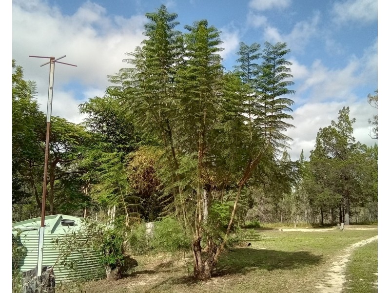 Silver Valley QLD 4872