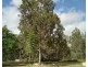 Silver Valley QLD 4872