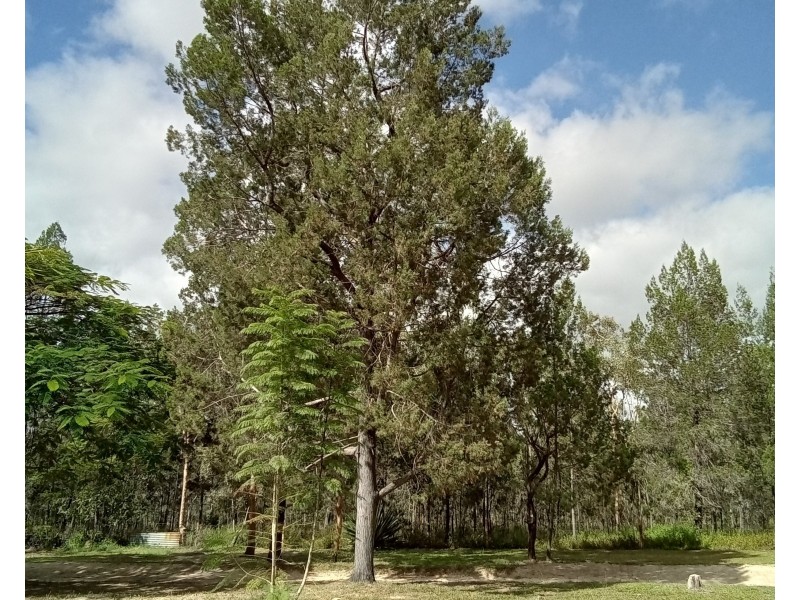 Silver Valley QLD 4872