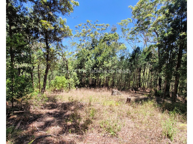 337 Greys Lane, Ravenshoe QLD 4888