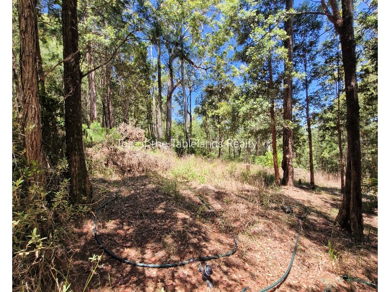 337 Greys Lane, Ravenshoe QLD 4888