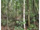 Ravenshoe QLD 4888