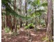 Ravenshoe QLD 4888