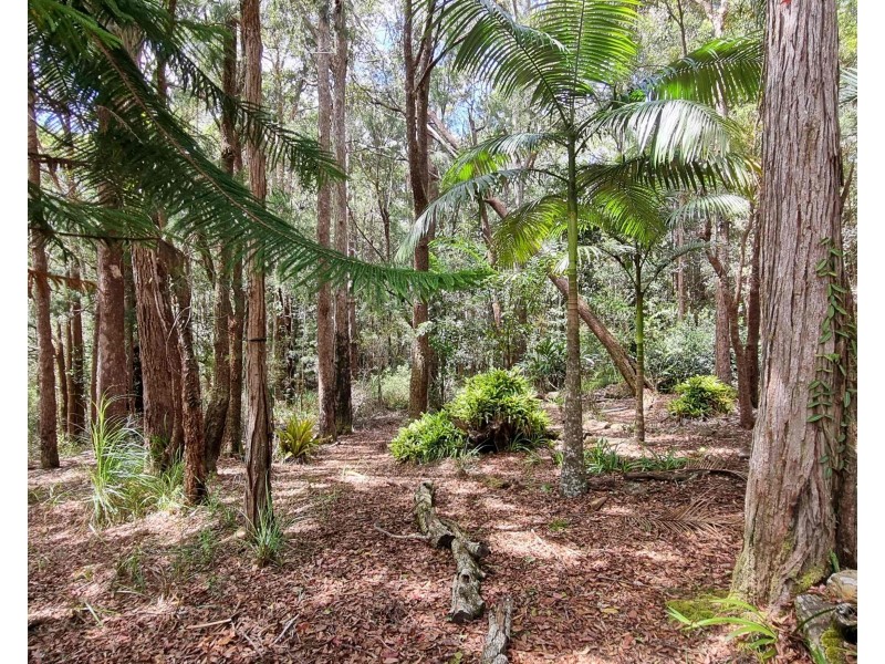 Ravenshoe QLD 4888