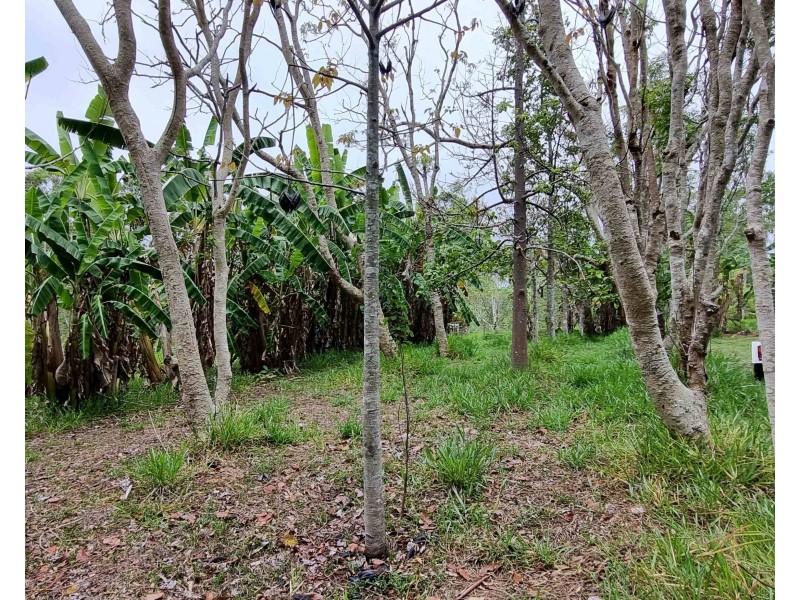 Ravenshoe QLD 4888