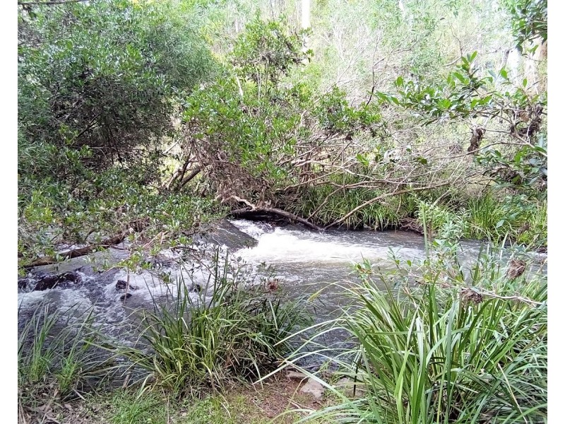 196 Greys Lane, Ravenshoe QLD 4888