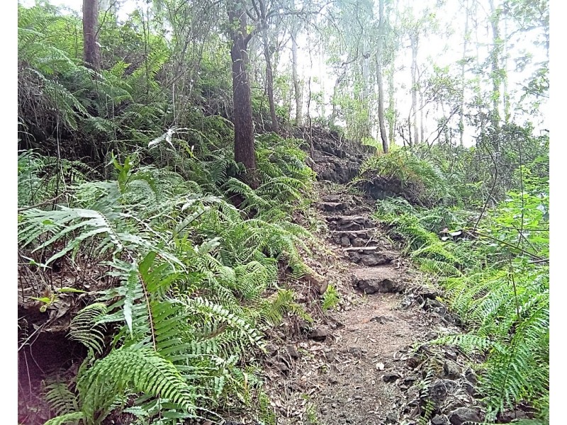 196 Greys Lane, Ravenshoe QLD 4888