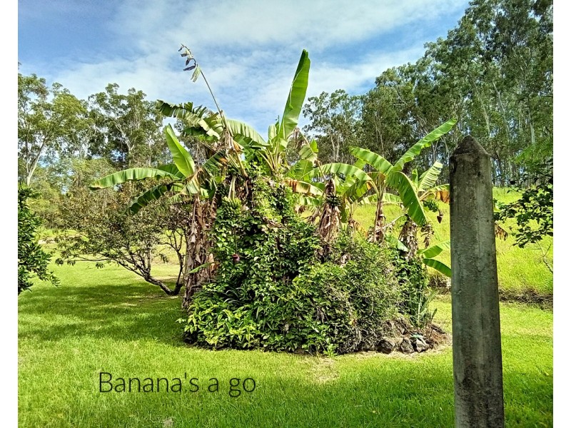 196 Greys Lane, Ravenshoe QLD 4888