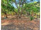 1718 Oaky Creek Road, Cooktown QLD 4895