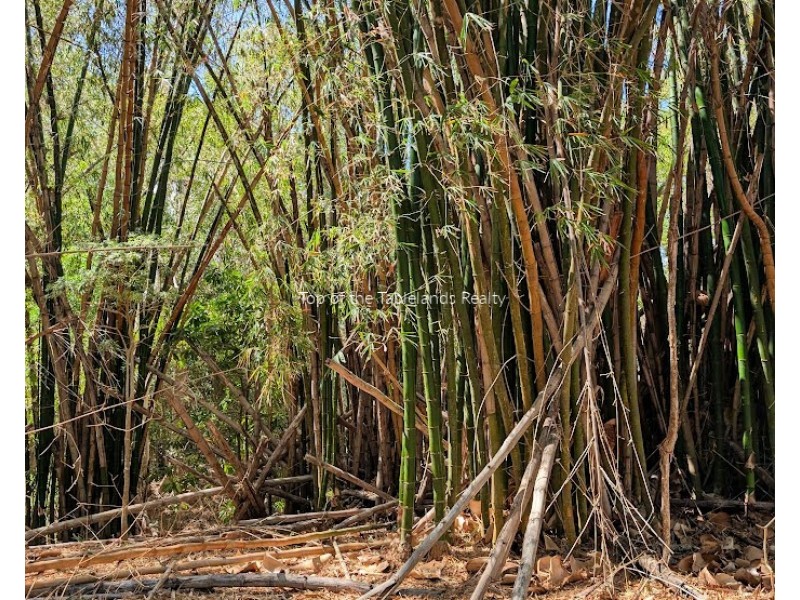 1718 Oaky Creek Road, Cooktown QLD 4895