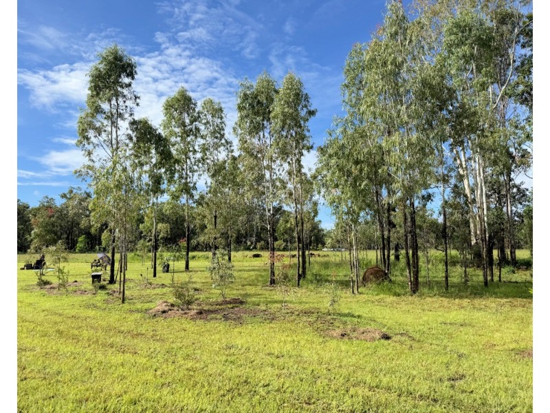 158 Gordon Earl Drive, Millstream QLD 4888