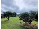 23 Leonard Street, Tolga QLD 4882