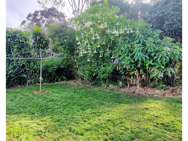 24 John Street, Ravenshoe QLD 4888