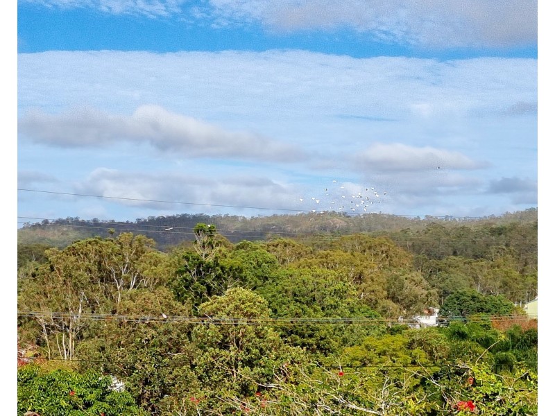 24 John Street, Ravenshoe QLD 4888