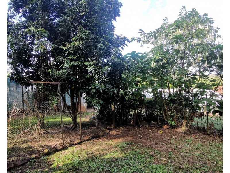 24 John Street, Ravenshoe QLD 4888