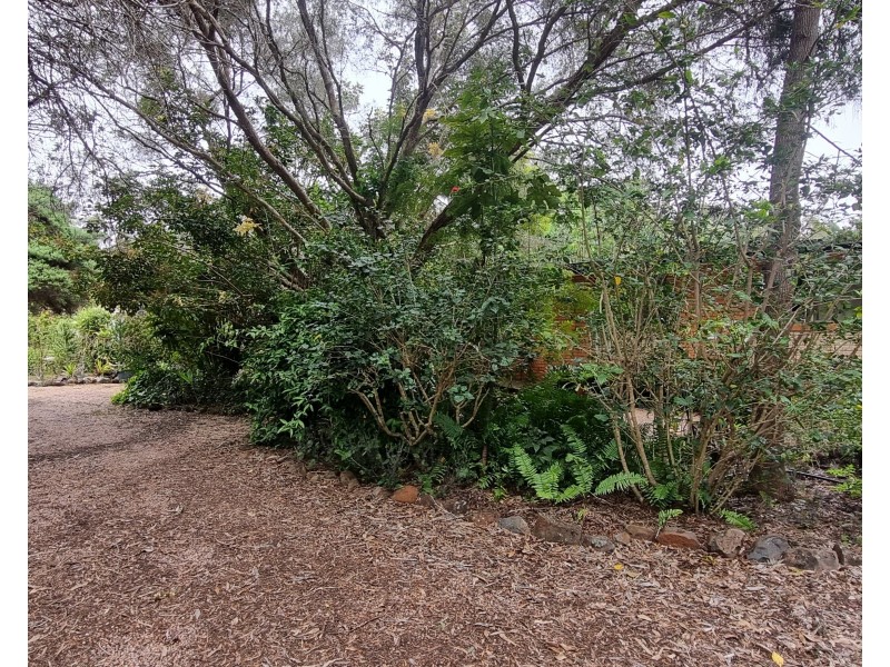 993 Longlands Gap Road, Wondecla QLD 4887