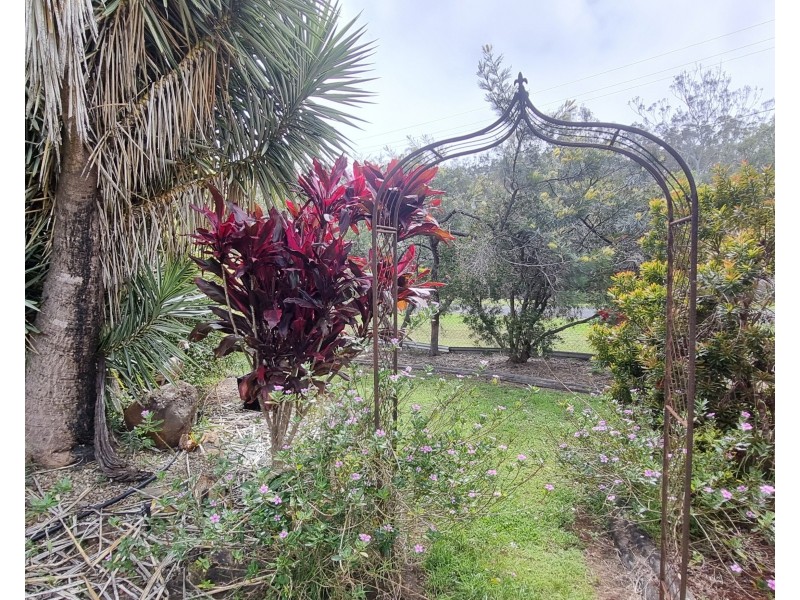 12 Kauri Street, Ravenshoe QLD 4888