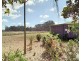 19 Moffat Street, Ravenshoe QLD 4888