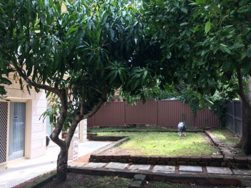 34A Iliffe Street, Bexley NSW 2207