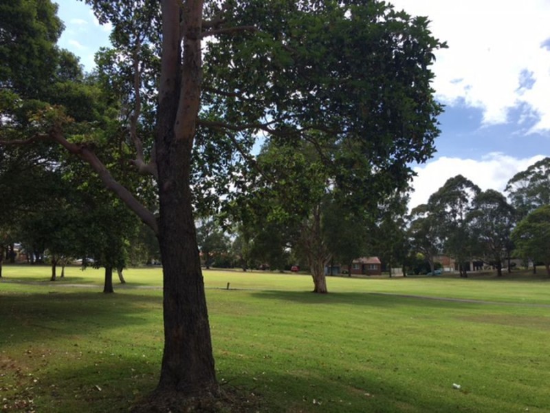 34A Iliffe Street, Bexley NSW 2207