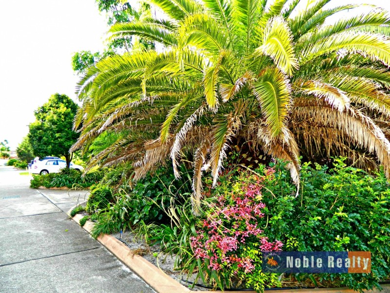 12/1-5 North Street ‘Four Winds’, Tuncurry NSW 2428