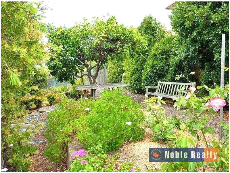 24 Daphne Street, Forster NSW 2428