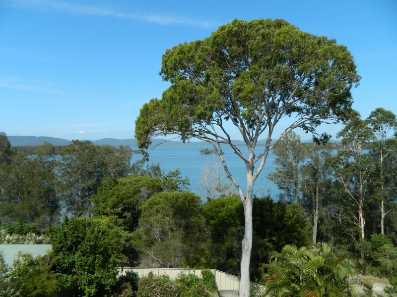 25 Green Point Drive, Green Point NSW 2428