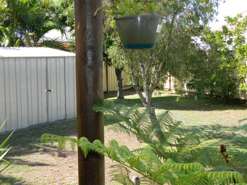 25 Woodward Place, Tuncurry NSW 2428