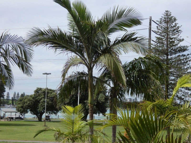 102/6-10 Manning Street Mirage, Tuncurry NSW 2428