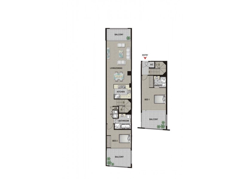137/10 Lachlan Street, Waterloo NSW 2017 Floorplan