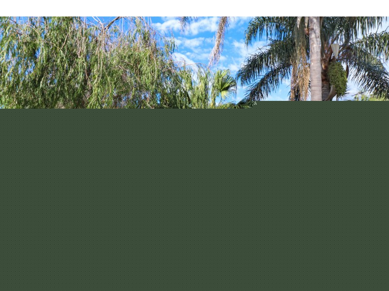 83 Bassett Street, Hurstville NSW 2220