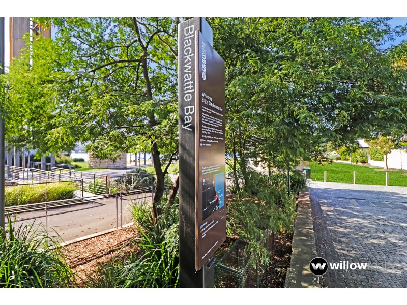 2/19-21 Forsyth Street, Glebe NSW 2037