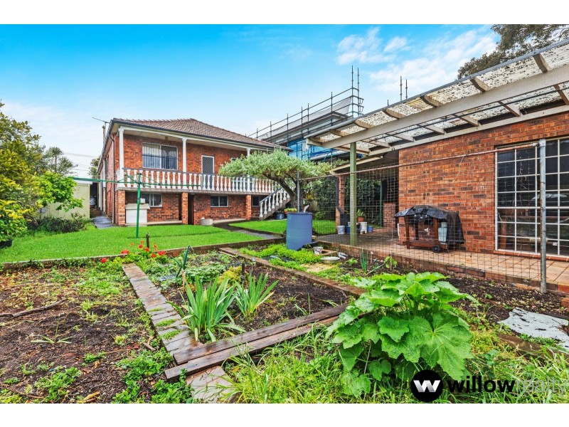 42 Robertson Street, Campsie NSW 2194