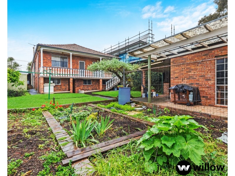 42 Robertson Street, Campsie NSW 2194