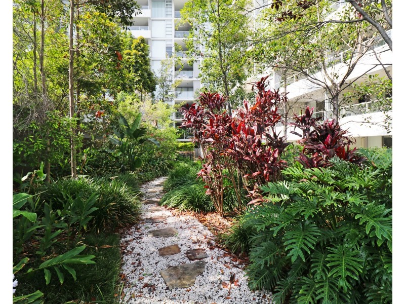 123/555 Princes Highway, Rockdale NSW 2216