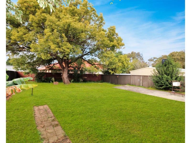 24 Broadarrow Road, Beverly Hills NSW 2209