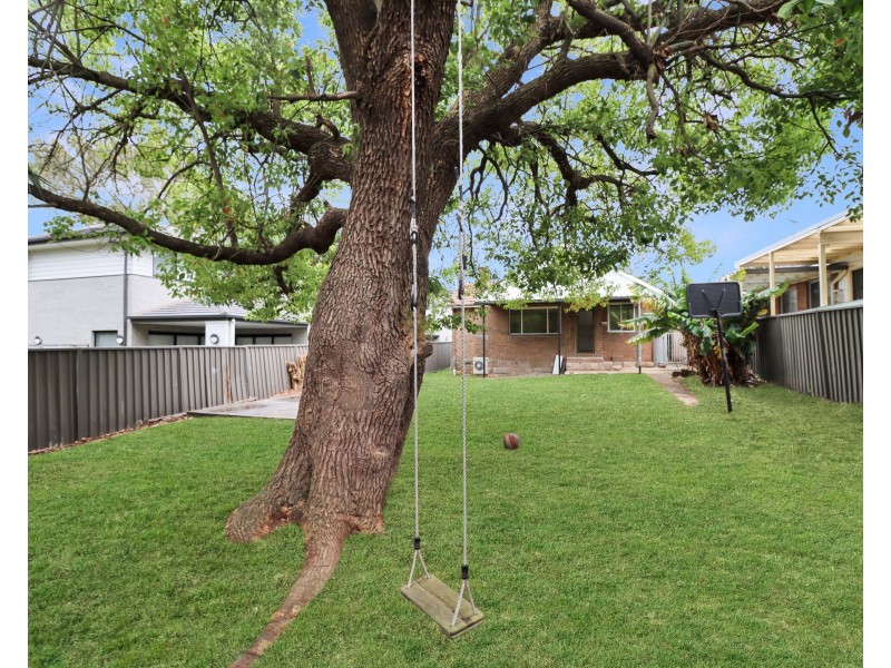 24 Broadarrow Road, Beverly Hills NSW 2209