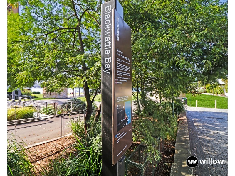 8/3 Cook Street, Glebe NSW 2037
