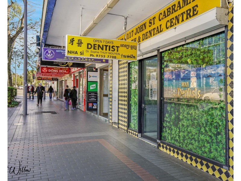2/117 John Street, Cabramatta NSW 2166